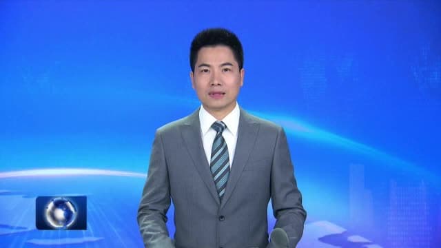日照绿茶：传承创新 步履不止