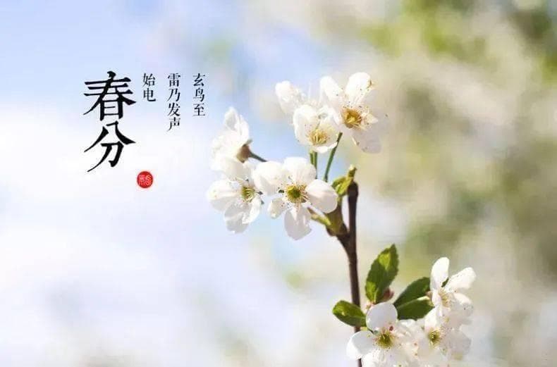 春分至，共赴一场春天的约定