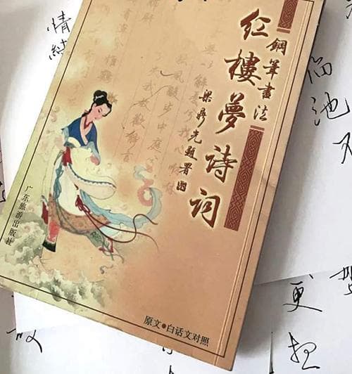 梁鼎光书法红楼梦诗词字帖：美的艺术与人生的领悟