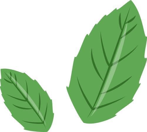 网络安全指南请查收