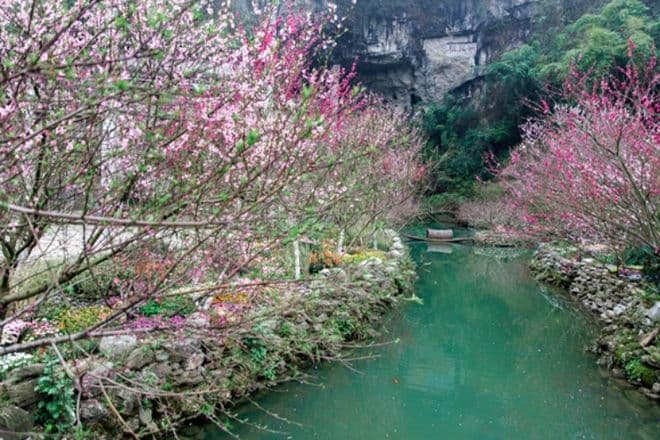 重庆酉阳：以“四色”描绘文旅融合新图景 将“桃花源”打造成世界级名片