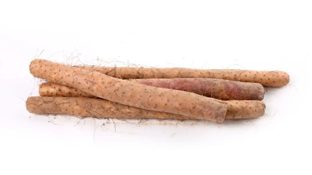 山药，其实是一味厉害的补药