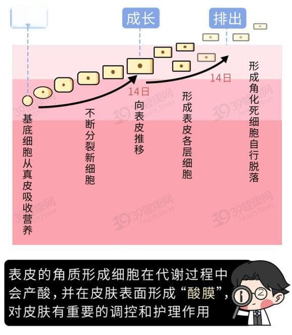 痘痘粉刺黑头长不停？如何正确刷酸不烂脸？