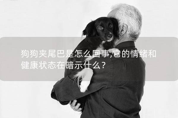 狗狗夹尾巴是怎么回事？解读这一行为背后的情绪与健康密码