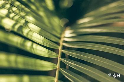 天干全克会怎样：五行相克的深层解析