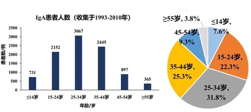 创新药企竞逐IgA肾病赛道：从机制研究到高端制剂革新