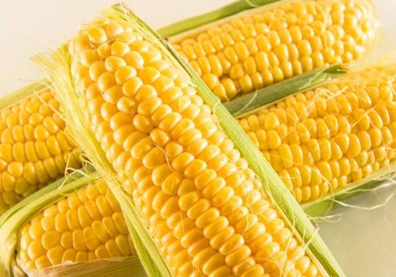 怎么挑到鲜甜好吃的玉米？老农民教你一招：看玉米须就知道！