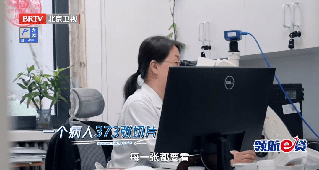 北京卫视直击：从数据洪流到临床应用，医渡科技如何闯出AI落地深水区？
