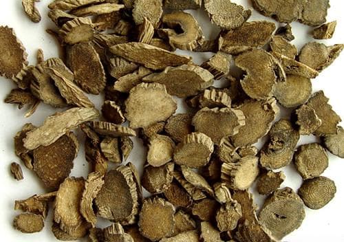 川牛膝：从基础到临床的全面解析