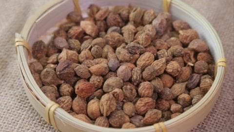 益智仁的功效与作用是什么