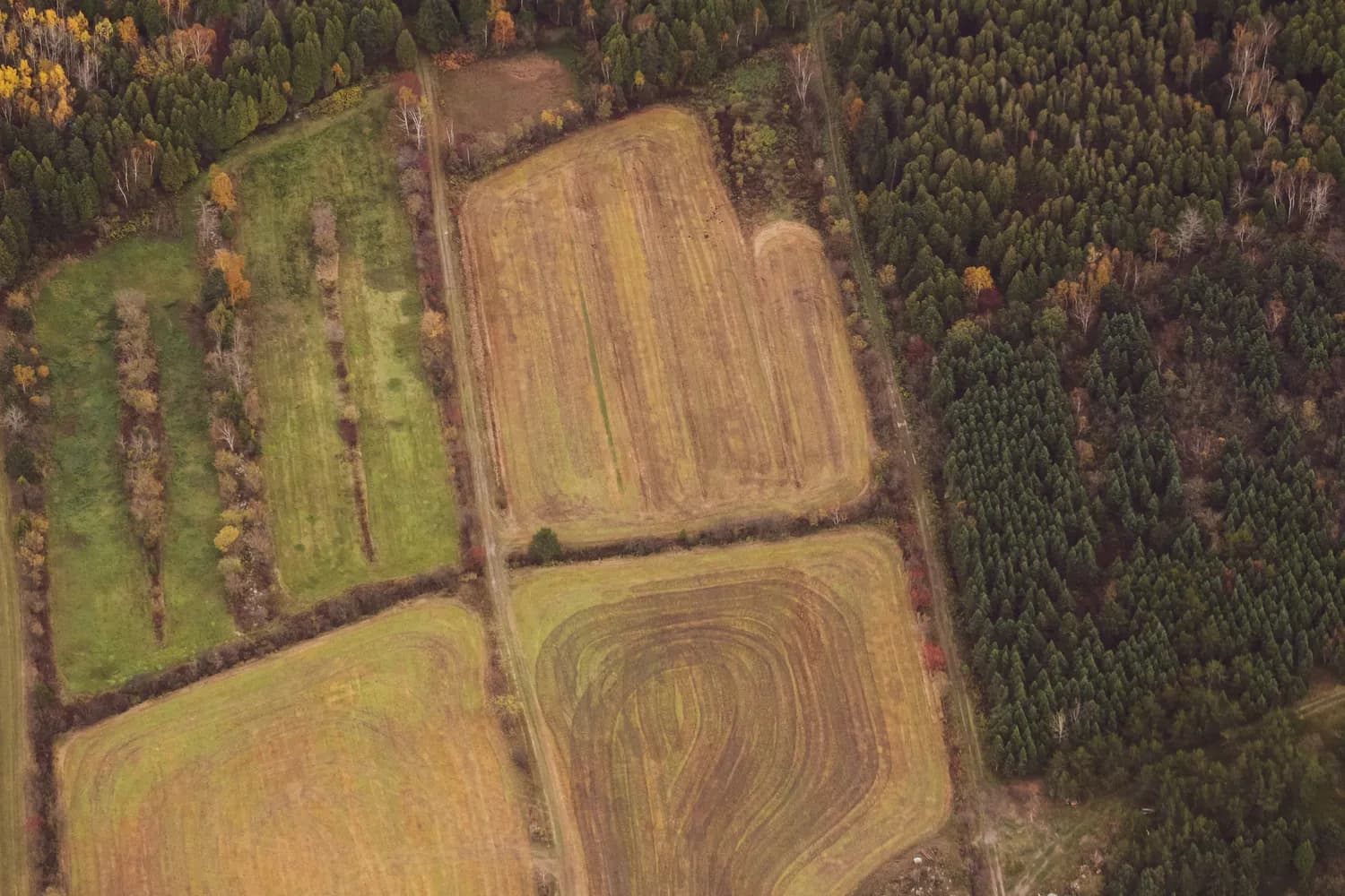 土地测量必备：1公顷等于10,000平方米，掌握单位换算技巧