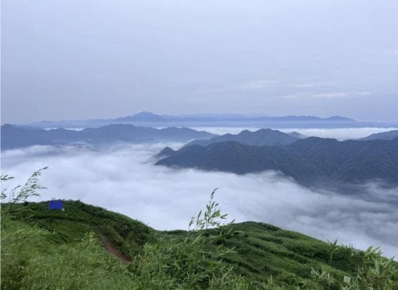 益阳旅游攻略，去益阳旅游值得打卡的景点推荐