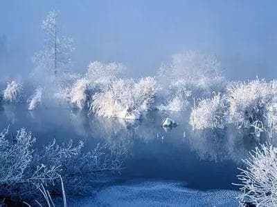 实时追踪！哪些城市正被皑皑白雪覆盖？