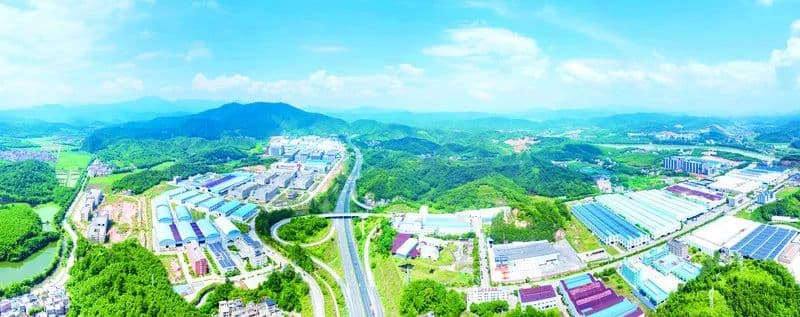 广宁县：“竹经济+绿引擎”跑出山区县发展加速度