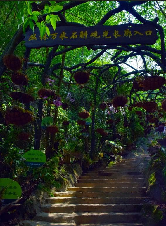 广南六郎城村：打造旅居云南“新样板”