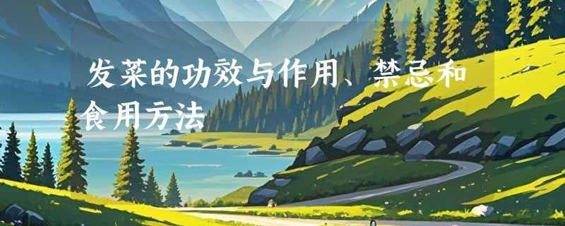 发菜的功效与作用、禁忌和食用方法
