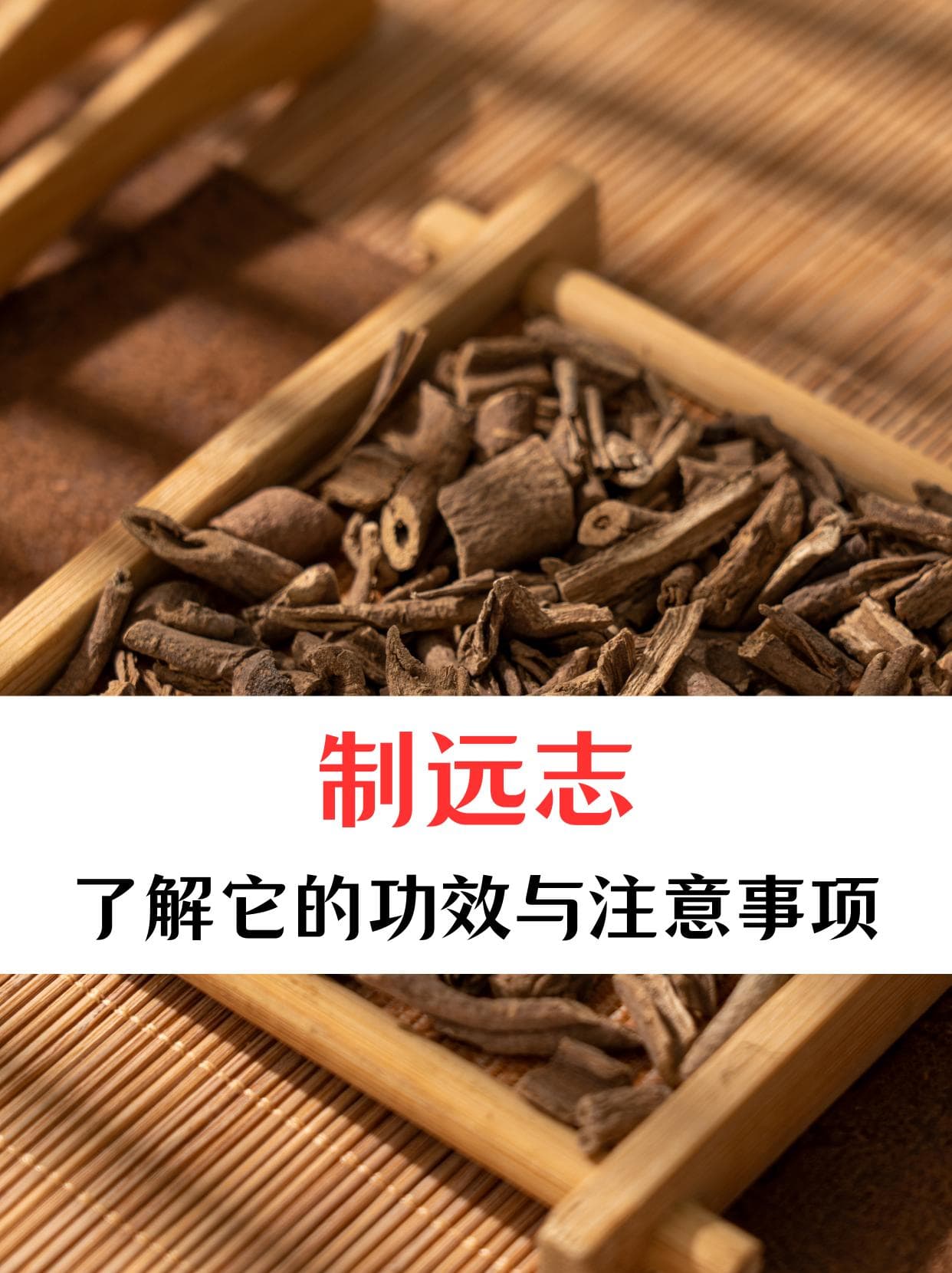 制远志：了解它的功效与注意事项