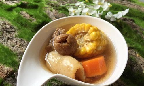 鱼胶鲍鱼排骨汤：传统滋补佳肴的制作与功效