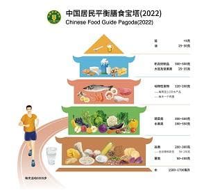中国居民膳食指南发展历程与主要内容