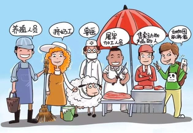 布病科普：症状、传播途径与预防措施全解析
