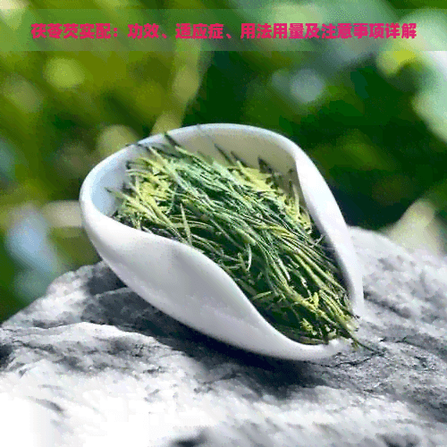 茯苓芡实配：功效、适应症、用法用量及注意事项详解