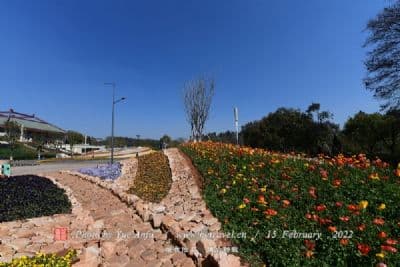 盐池县十大旅游景点
