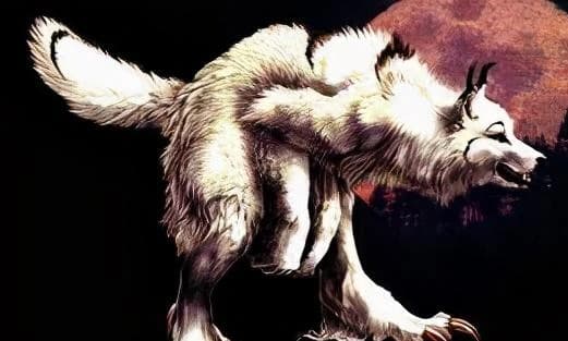 狼狈为奸：狈这种生物真的存在吗？它究竟是什么样的？