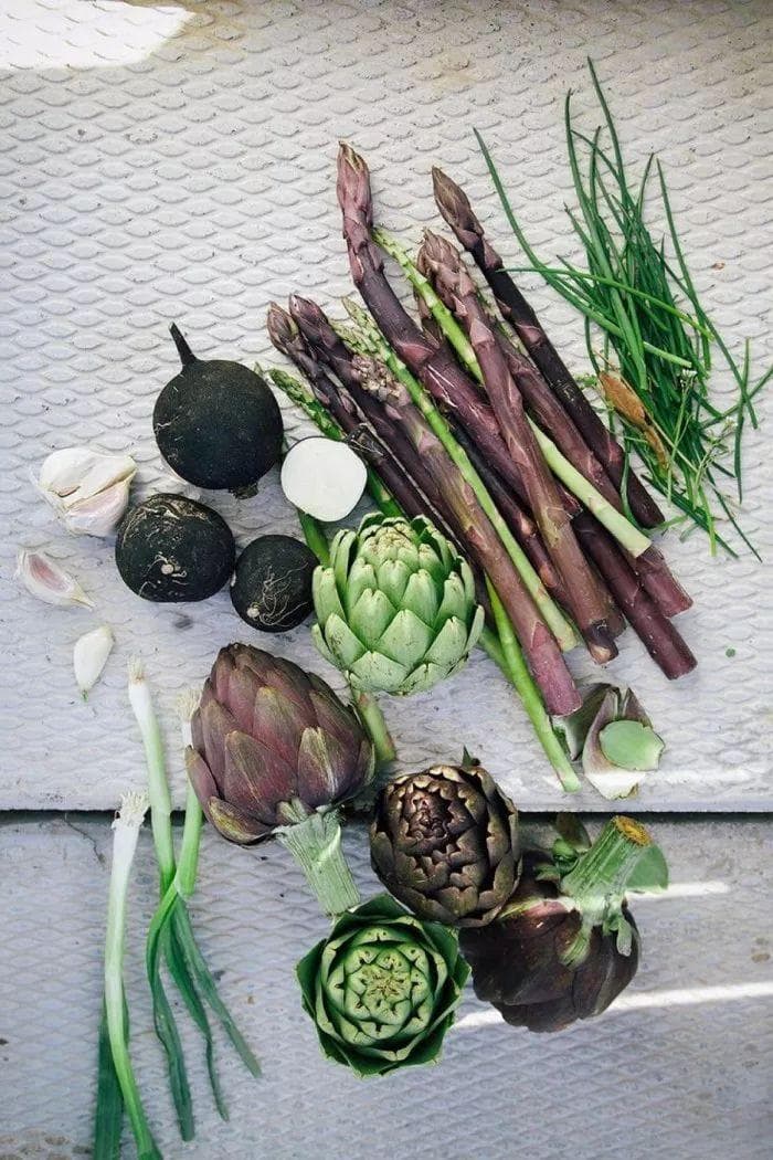 给世界的草木，起个富有诗意的名字！绝对是高级趣味！