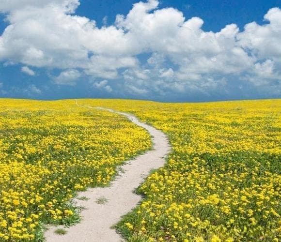 木屋结构稳定性研究及案例分析