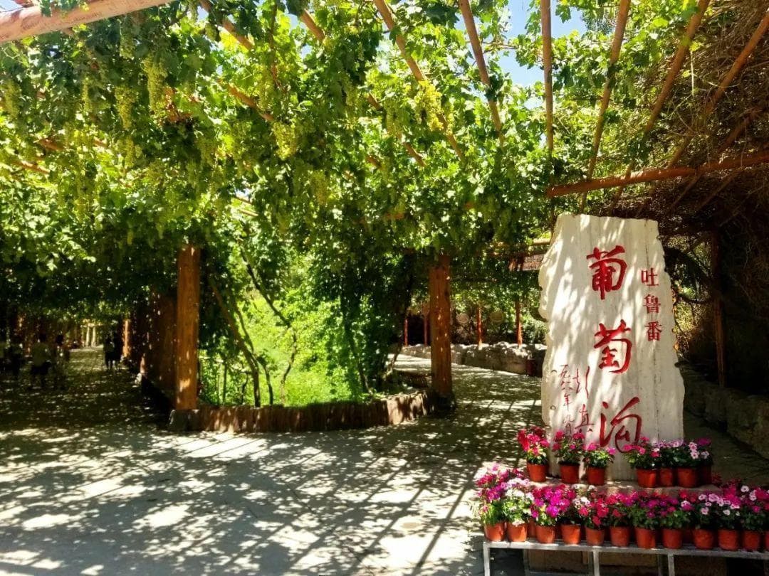 吐鲁番市葡萄沟风景区