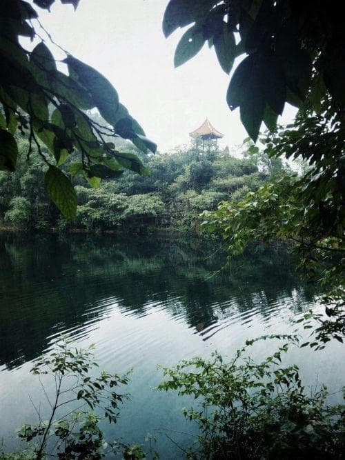 距广州70公里的生态明珠：笔架山森林公园获全国十大旅游圣地殊荣