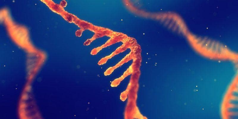 RNA是什么？概念、结构、不同功能、分类以及与DNA的区别