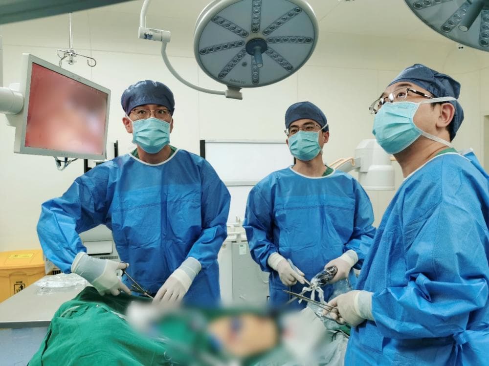 查出胆囊结石是不是只能“一切了之”？他们有两全其美的好办法