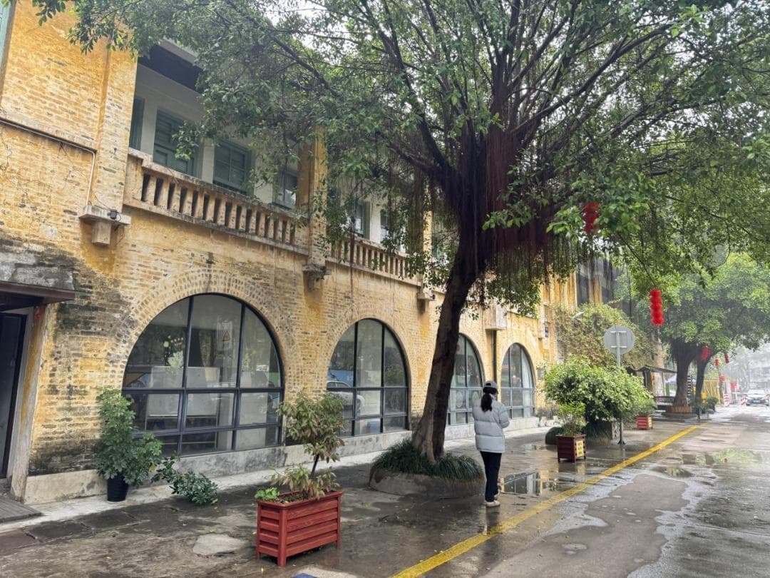 规划引领老城焕新，广州这些老建筑“热辣滚烫”