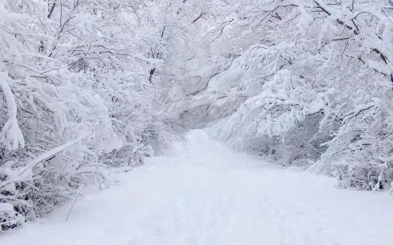 二十四节气——大雪