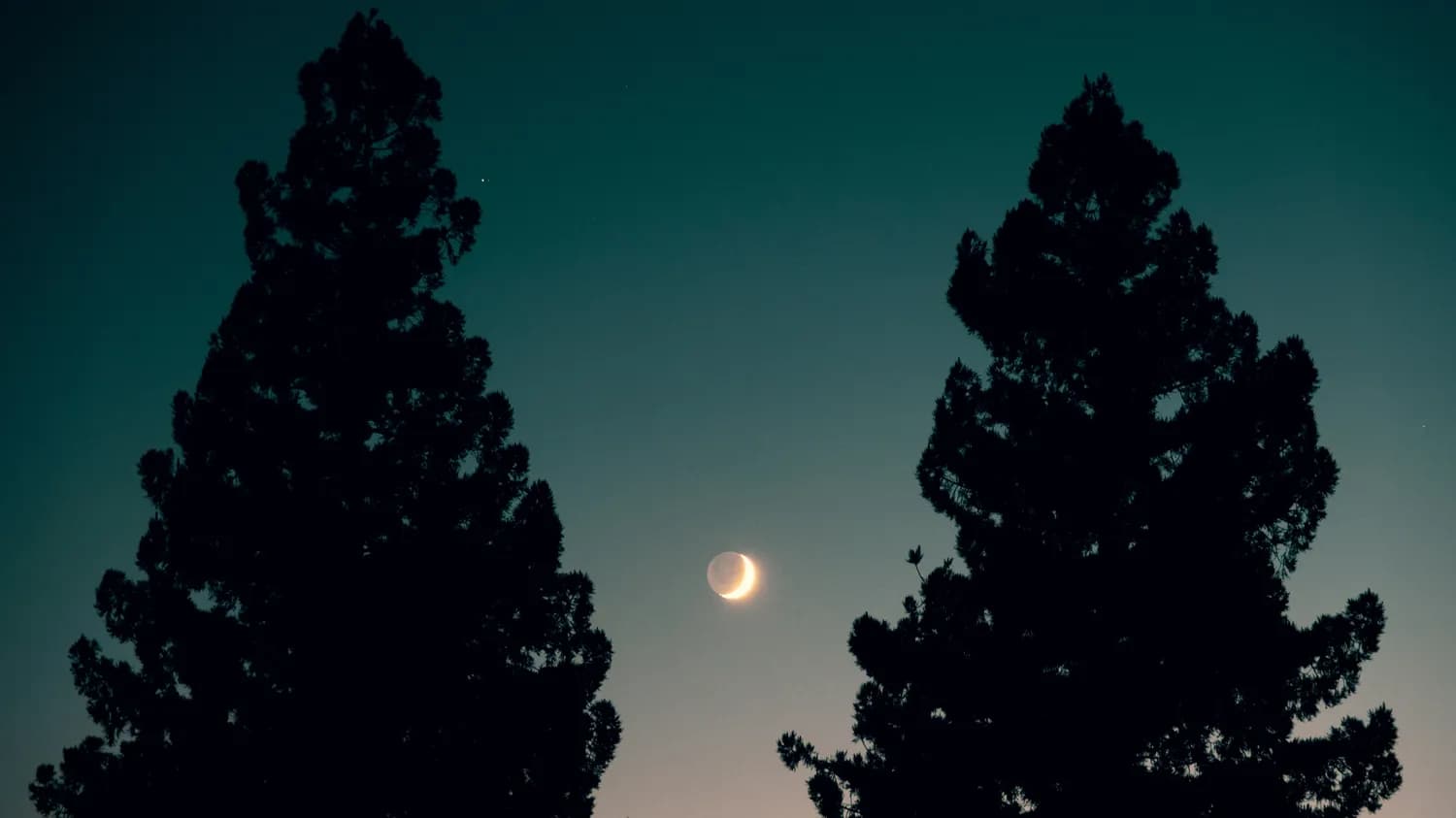 《破晓》：贝拉与爱德华的终极考验