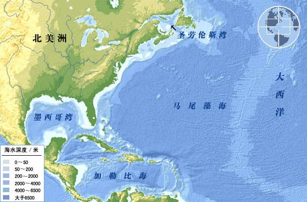 “马尾藻海”——神奇的洋中之海