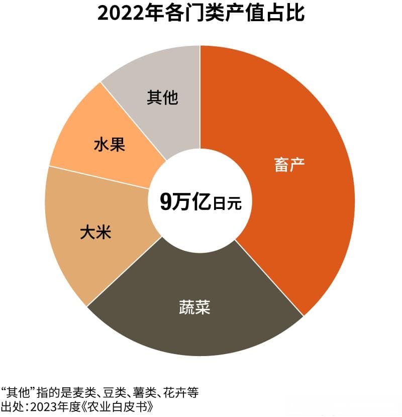 日本农业总产值9万亿日元，但面临人口老龄化等挑战