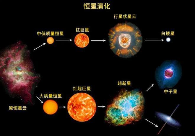 黑洞奇点体积无限小密度无限大，到底是由什么元素组成的？
