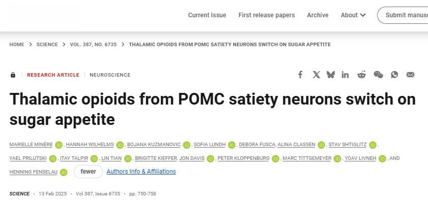 Science：饱了还想吃甜点？大脑里的"双面间谍"揭晓食欲之谜