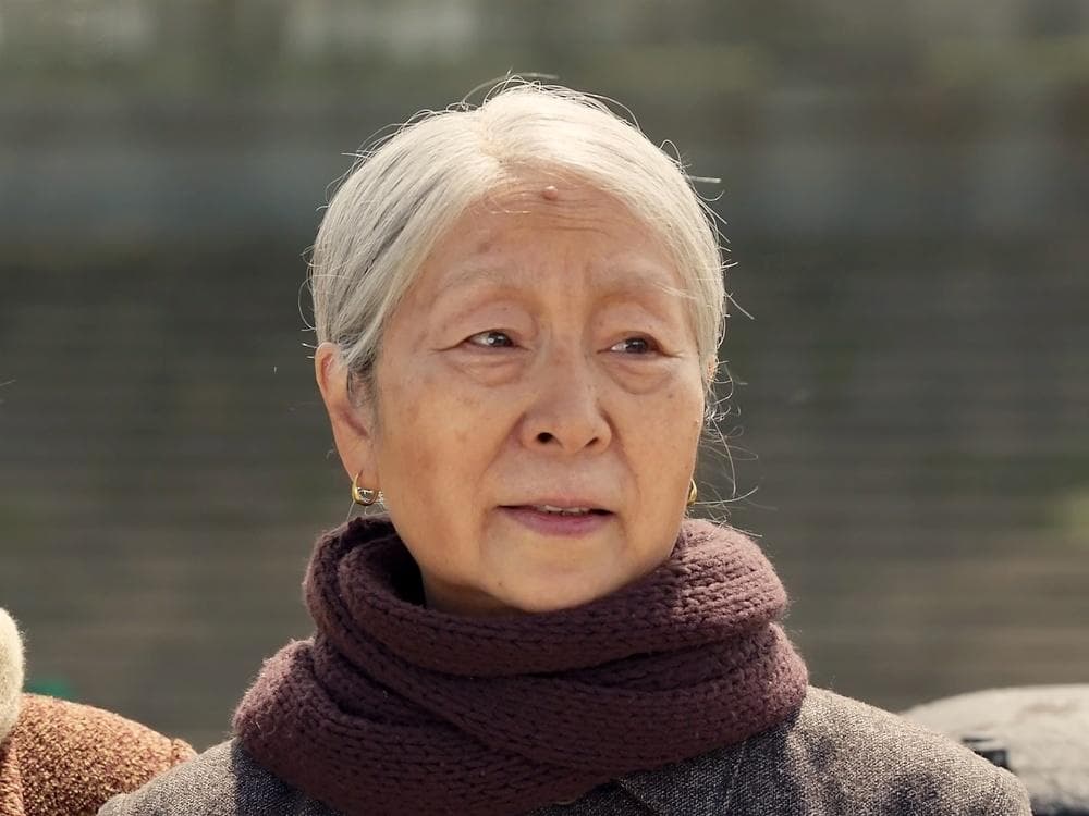 《六姊妹》华裔女星邬君梅，用演技证明自己，被误解的刘美心