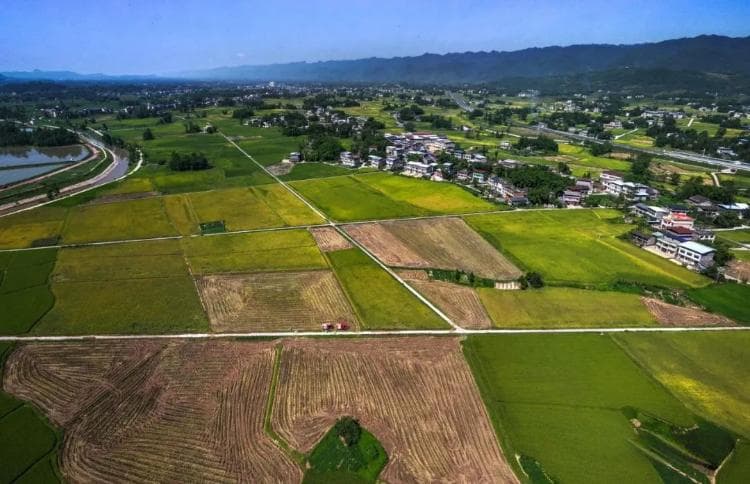 虚报进度、资金短缺：高标准农田建设遭遇现实困境