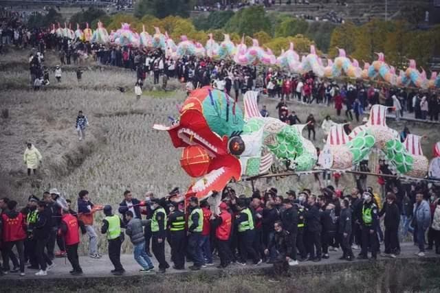 见识过福建姑田游大龙，才明白什么是“神龙见首不见尾”