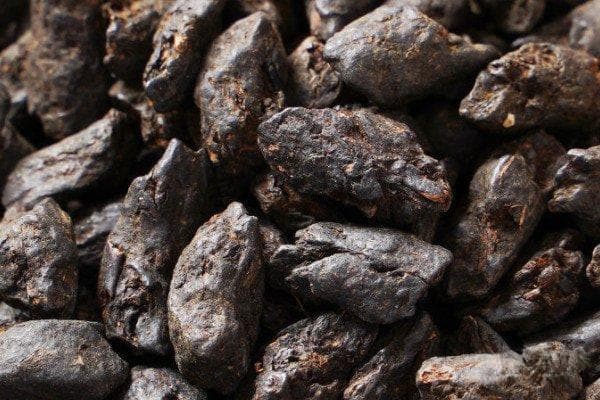 碎银子茶的正确泡法，五大技巧让你泡出最佳口感