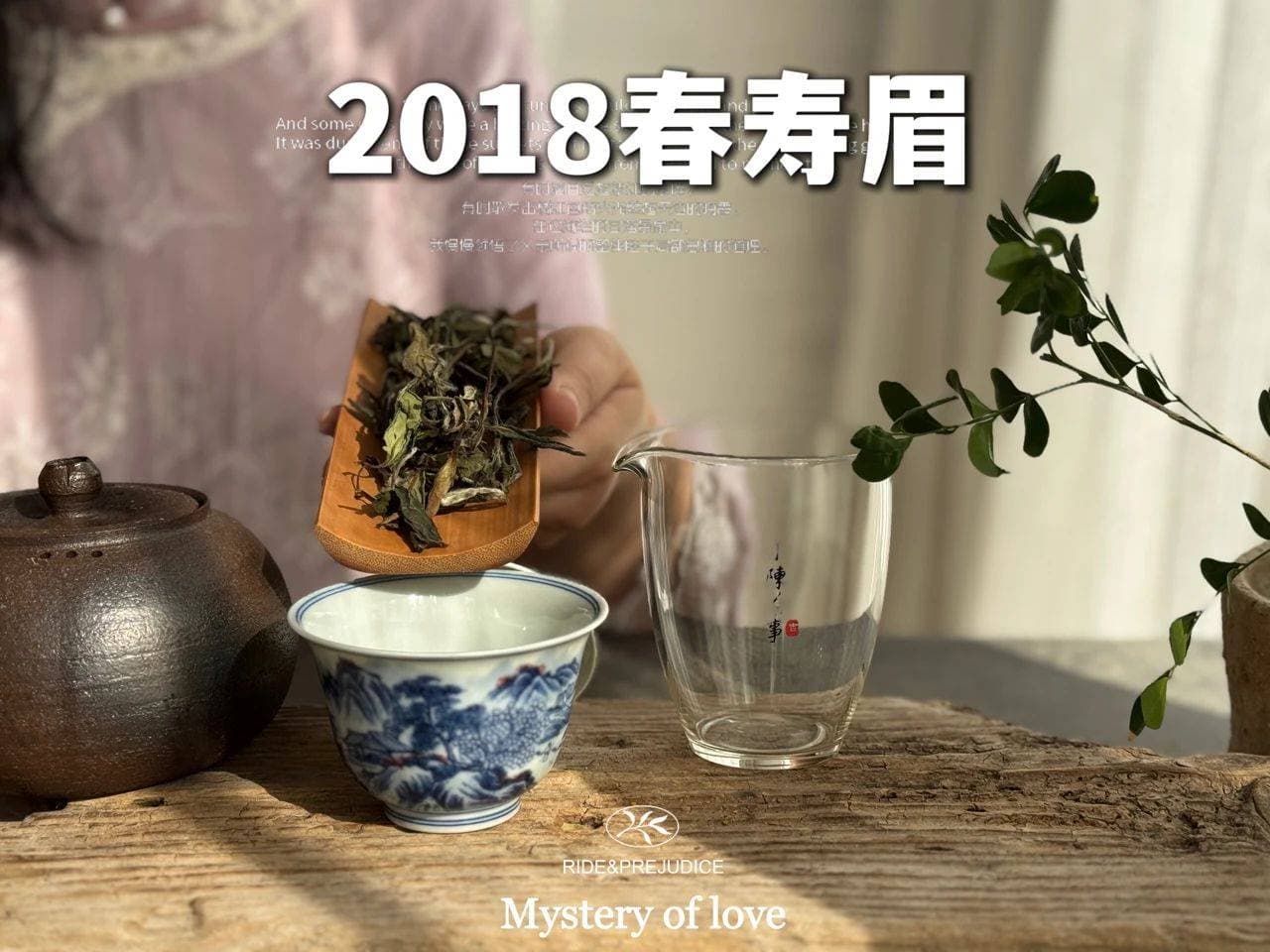 白茶泡出来总是很淡？教你2个冲泡小妙招，味道一下子就丰富了