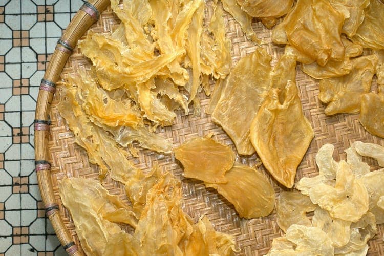 深入了解鱈魚膠與花膠的區別