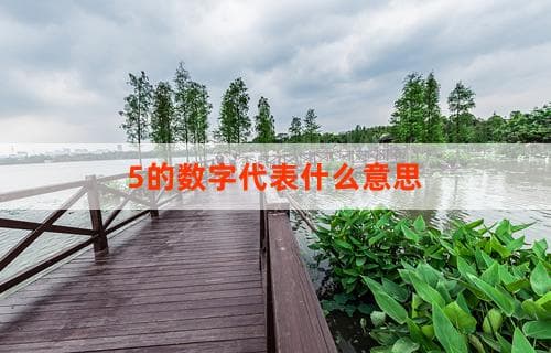 探究数字5的含义与代表意义