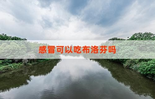 感冒可以吃布洛芬吗？解析布洛芬在感冒治疗中的应用