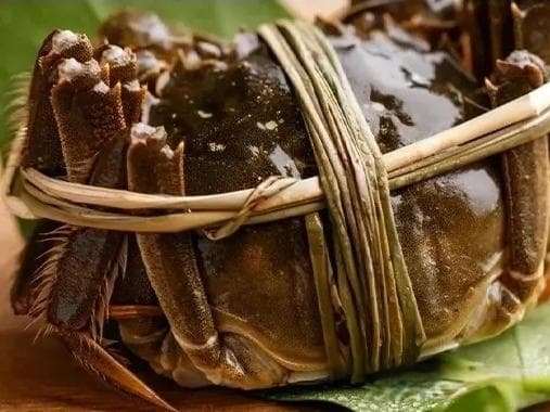 实用！螃蟹选购五大要点全解析
