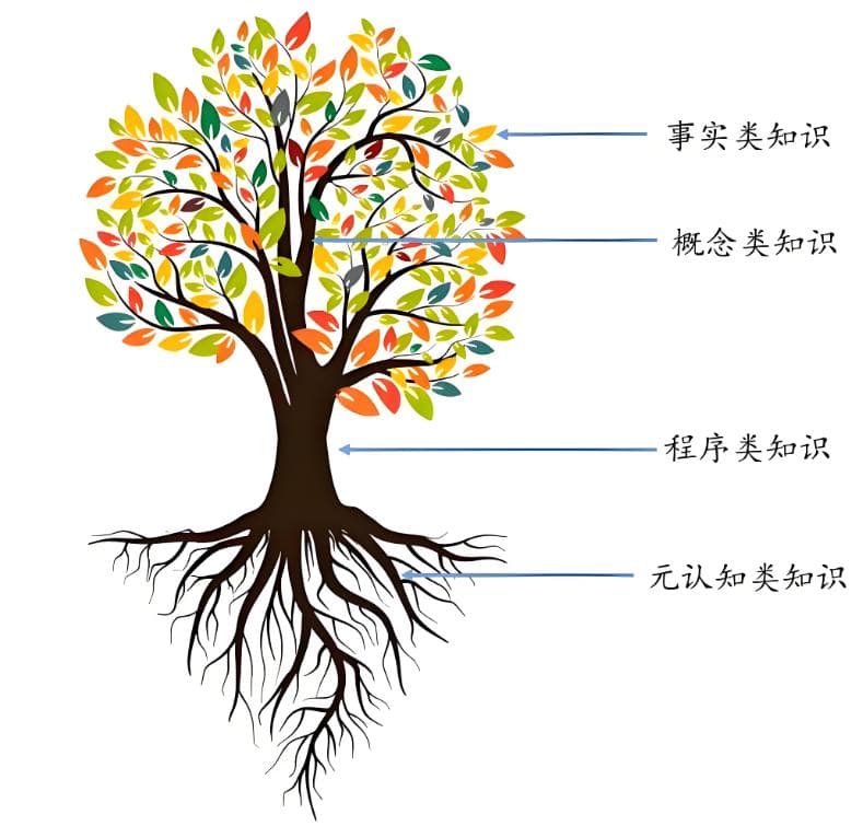 知识的4个维度：事实、概念、程序、元认知